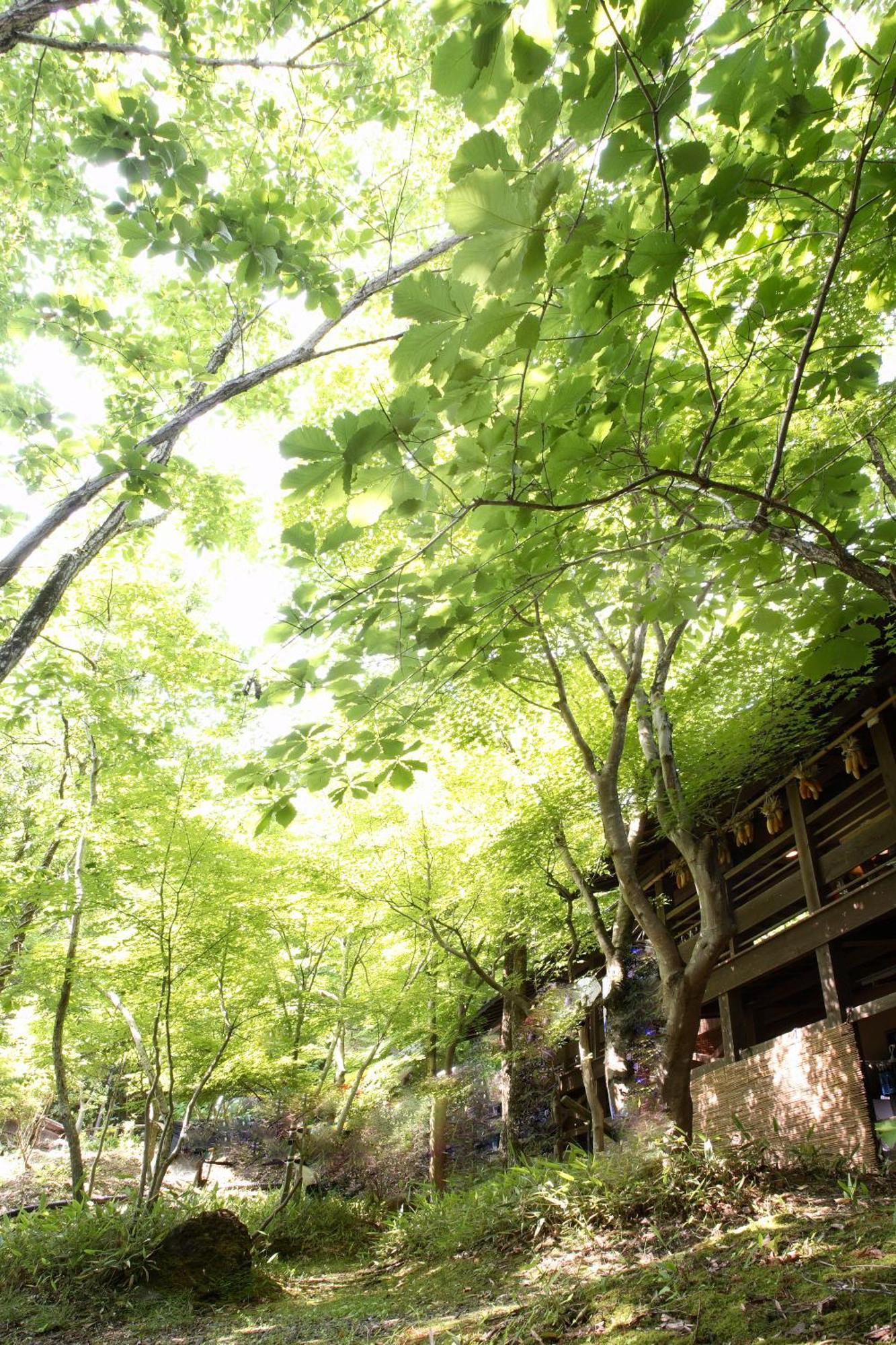Ryokan Yumerindo